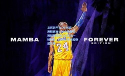 足彩网平台-2025欧洲联赛身价冰火两重天，英超暴涨近11亿欧元一骑绝尘，法甲异军突起稳居次席