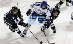 足彩网直播团队|辱骂风波后毅然辞职，四日之内戏剧性回归，伊尔马兹与俱乐部的意外重逢